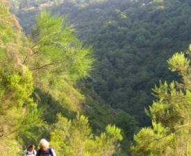 Vilamor village in background